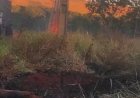 Polícia Militar prende homem por causar incêndio em Paranaíba