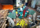 Polícia Civil incinera mais de 12 toneladas de entorpecentes em Ponta Porã