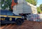 Polícia apreende 1,5 tonelada de maconha em carga de algodão