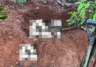 Polícia Civil e Corpo de Bombeiros, com apoio de cães farejadores, localizam corpo de jovem desaparecido em Alto Taquari (MT)