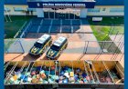 PRF apreende mais de 12,6 toneladas de maconha oculta em carga de caminhão