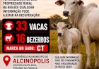 Atenção. Furtadas 49 cabeças de gado em Figueirão