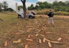 Carro com drogas parte ao meio após bater em árvore durante fuga da PRF