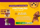 Neste sábado (12) começa a campanha de vacinação antirrábica em cães e gatos de Chapadão do Sul