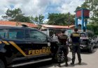 Eleições 2026: PF conduz 129 pessoas e apreende R$ 790 mil em ações contra crimes eleitorais