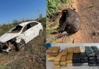 Homem natural de Cassilândia morre após carro bater em anta na GO-341; cerca de 30 tabletes de drogas são encontrados