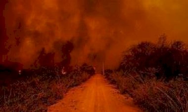 PF investiga incêndios criminosos na região do Pantanal