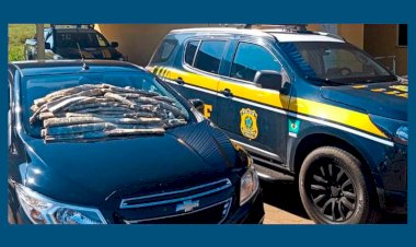 PRF apreende 35 Kg de maconha “ICE” em MS