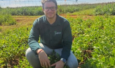 Jovem pesquisador da UFMS de Chapadão é premiado pela Fundação Bunge