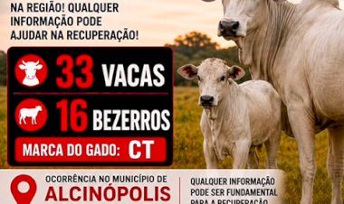 Atenção. Furtadas 49 cabeças de gado em Figueirão