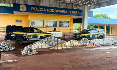 PRF apreende quase uma tonelada de drogas durante fiscalização MS