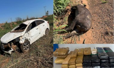 Homem natural de Cassilândia morre após carro bater em anta na GO-341; cerca de 30 tabletes de drogas são encontrados