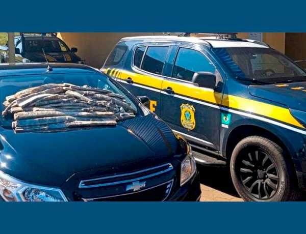 PRF apreende 35 Kg de maconha “ICE” em MS