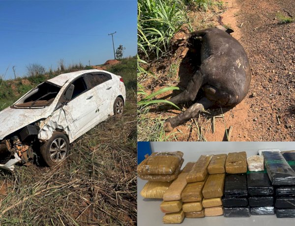 Homem natural de Cassilândia morre após carro bater em anta na GO-341; cerca de 30 tabletes de drogas são encontrados
