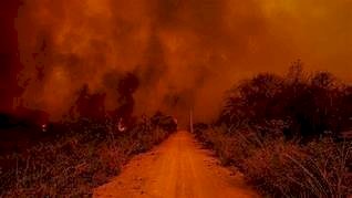 PF investiga incêndios criminosos na região do Pantanal