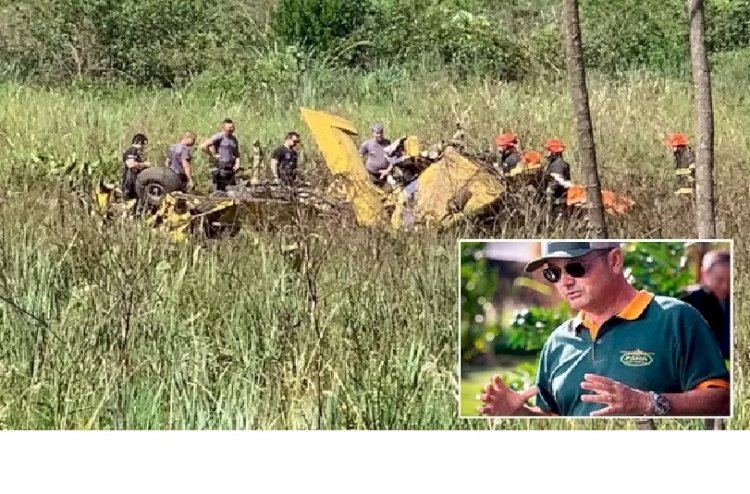 Avião agrícola cai perto da usina de Fernandópolis; piloto morre