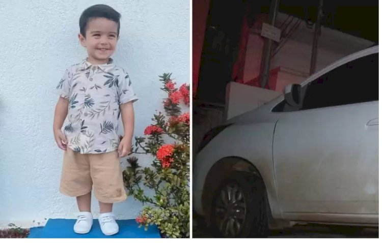Menino de 2 anos morre após ser esquecido dentro de carro por dona de creche em Goiás, diz polícia