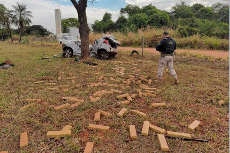 Carro com drogas parte ao meio após bater em árvore durante fuga da PRF